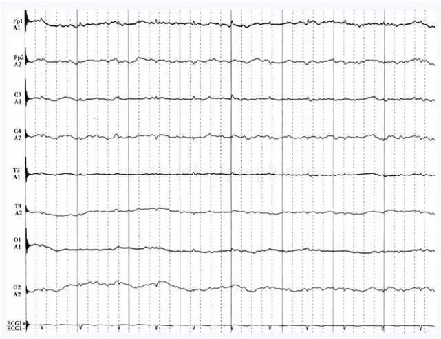 ��������������˫�����Ҳ�����12�죬���֫��鶯1��