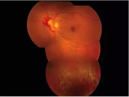 ��۴�ѧ�ۿ�ѧϵ���������輤��������������۵�����