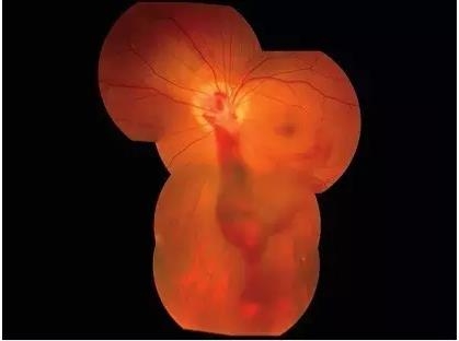 ��۴�ѧ�ۿ�ѧϵ���������輤��������������۵�����