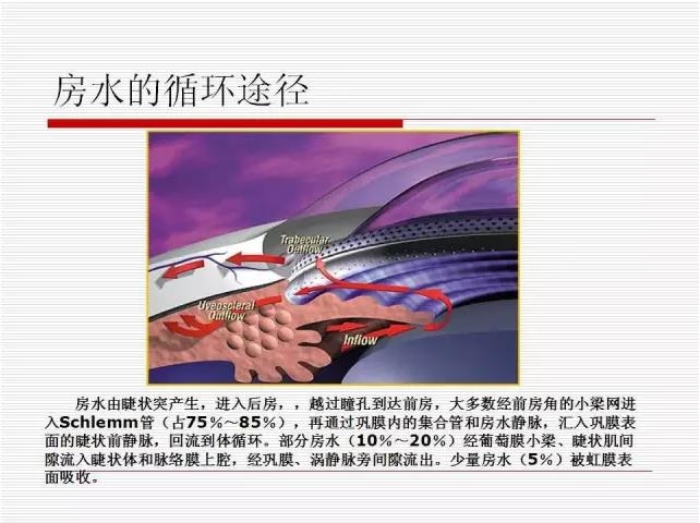 ��ȫ�������ؽ��⣨pptͼ�İ棩