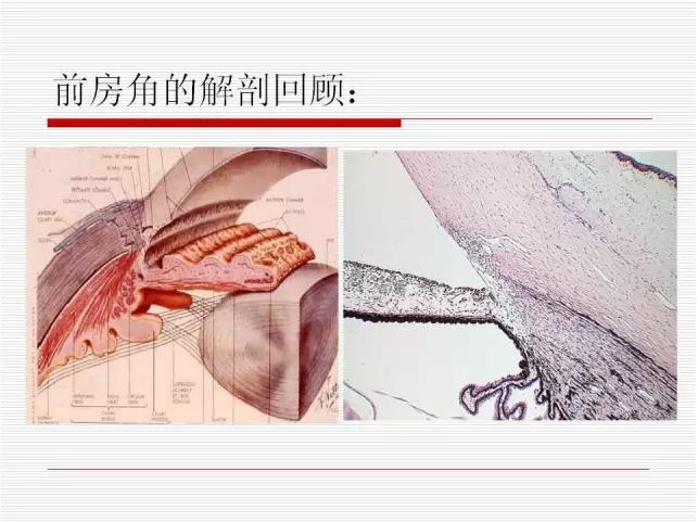 ��ȫ�������ؽ��⣨pptͼ�İ棩