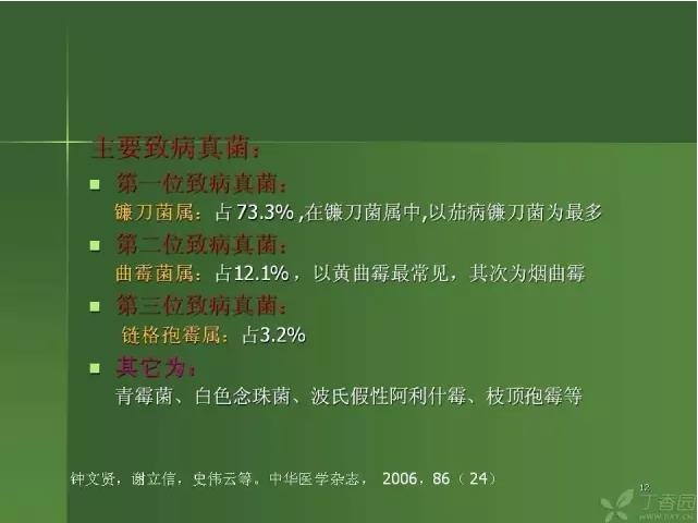 ����������Խ�Ĥ�׵ĸ��廯�ۺ����� ���ϣ�