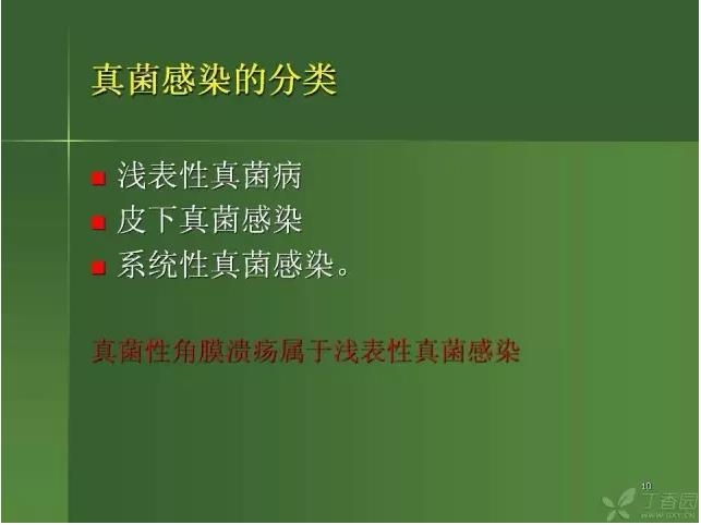 ����������Խ�Ĥ�׵ĸ��廯�ۺ����� ���ϣ�