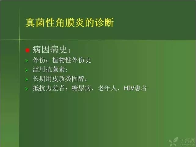 ����������Խ�Ĥ�׵ĸ��廯�ۺ����� ���ϣ�