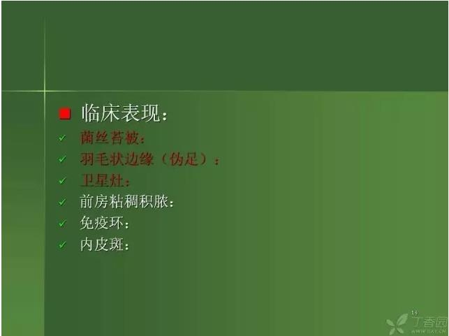 ����������Խ�Ĥ�׵ĸ��廯�ۺ����� ���ϣ�