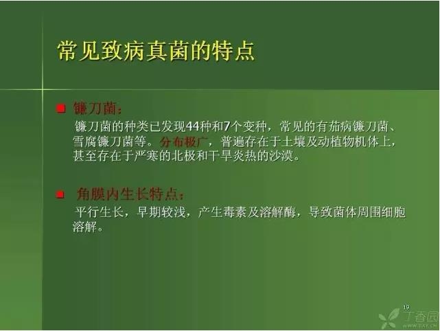 ����������Խ�Ĥ�׵ĸ��廯�ۺ����� ���ϣ�