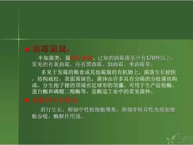 ����������Խ�Ĥ�׵ĸ��廯�ۺ����� ���ϣ�