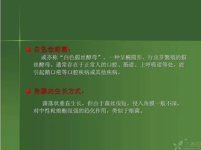 ����������Խ�Ĥ�׵ĸ��廯�ۺ����� ���ϣ�