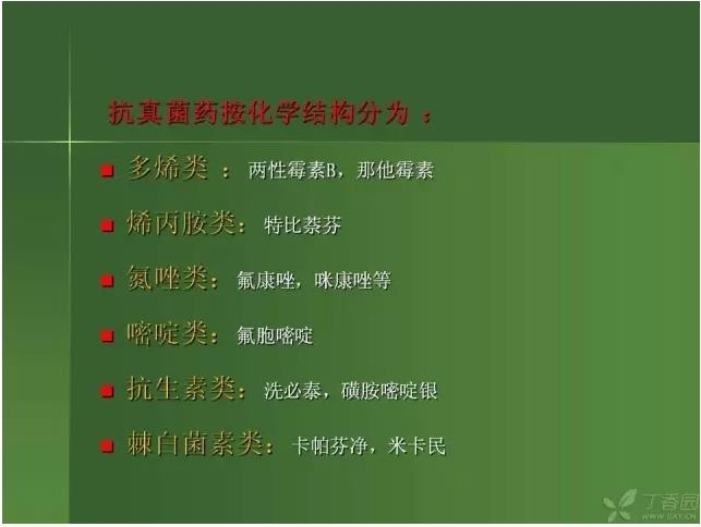 ����������Խ�Ĥ�׵ĸ��廯�ۺ����� ���ϣ�