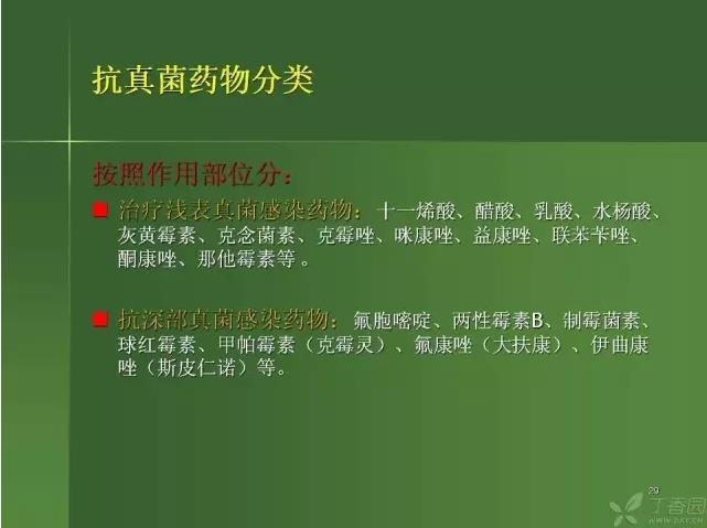 ����������Խ�Ĥ�׵ĸ��廯�ۺ����� ���ϣ�