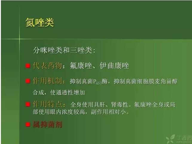 ����������Խ�Ĥ�׵ĸ��廯�ۺ����� ���£�