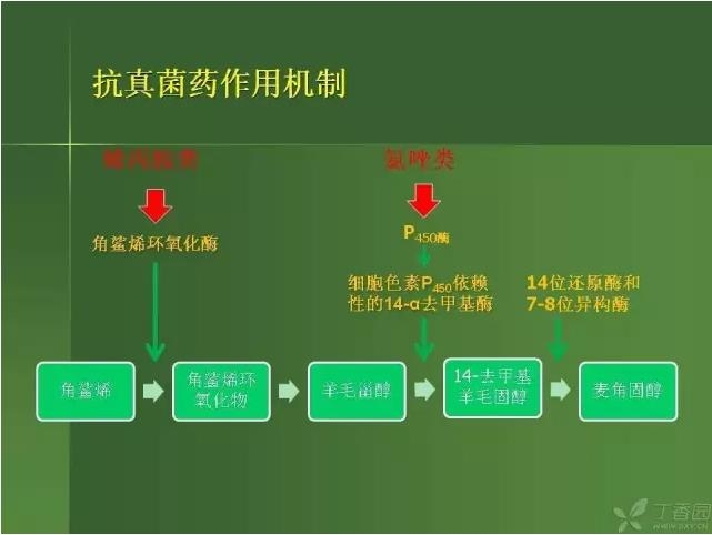 ����������Խ�Ĥ�׵ĸ��廯�ۺ����� ���£�