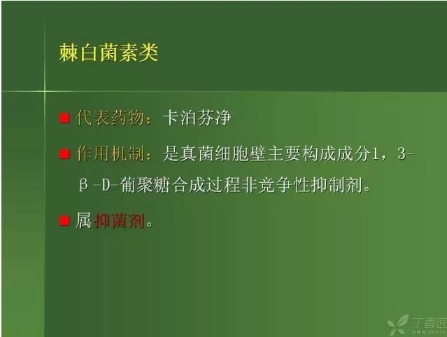 ����������Խ�Ĥ�׵ĸ��廯�ۺ����� ���£�