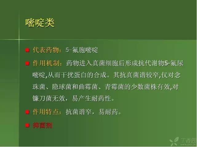 ����������Խ�Ĥ�׵ĸ��廯�ۺ����� ���£�