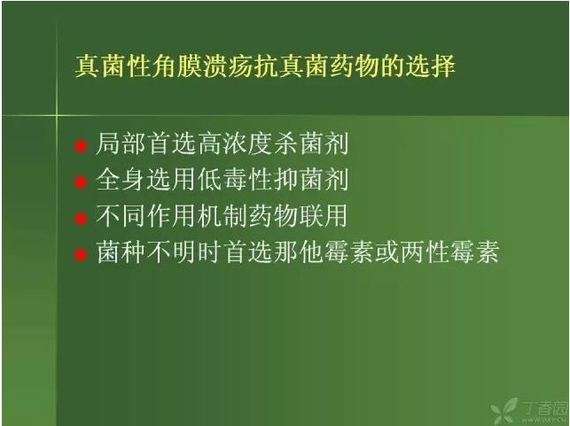 ����������Խ�Ĥ�׵ĸ��廯�ۺ����� ���£�