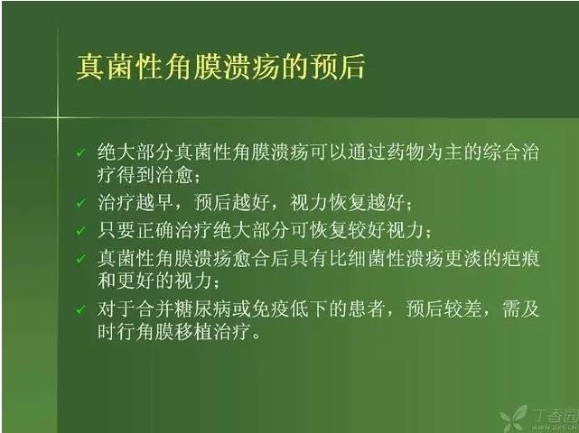 ����������Խ�Ĥ�׵ĸ��廯�ۺ����� ���£�