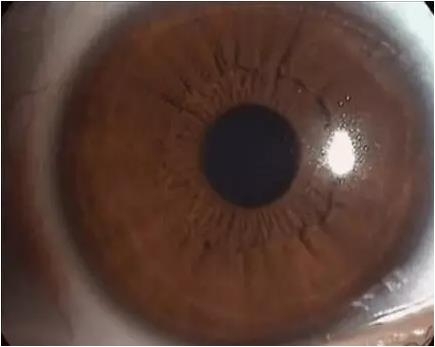 ��϶�Ƽ������