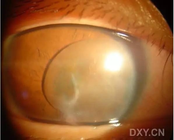 �ۿ�ҽ���ٴ����۸�����ǰ��ͼ��