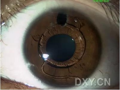 �ۿ�ҽ���ٴ����۸�����ǰ��ͼ��