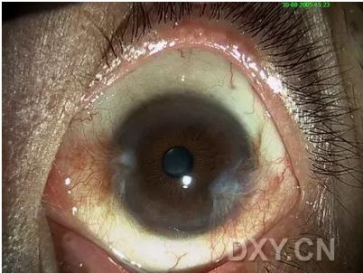 �ۿ�ҽ���ٴ����۸�����ǰ��ͼ��