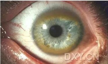 �ۿ�ҽ���ٴ����۸�����ǰ��ͼ��