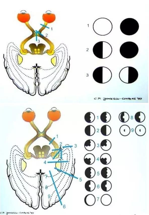 �ۿƼ��ppt����ֵ��һ����