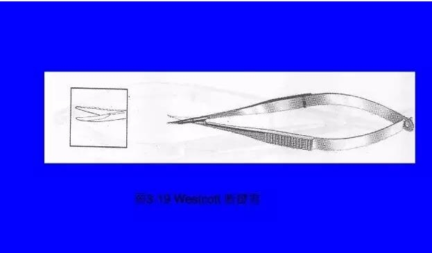 �ۿ���΢������е���������ܣ��ϣ�