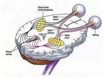 ��ѧ���״γɹ��޸�С���������񾭣������ä���ؼ�����