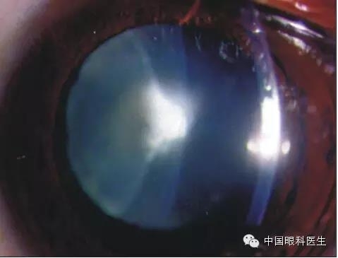 ͼ����������ʶ16�ֳ���������