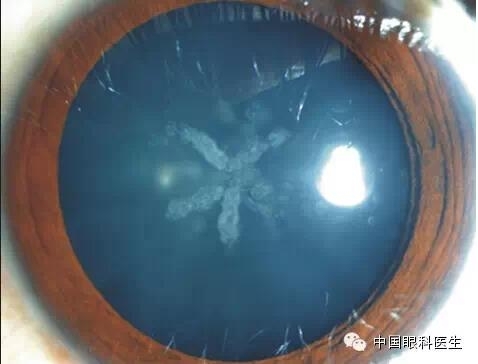 ͼ����������ʶ16�ֳ���������