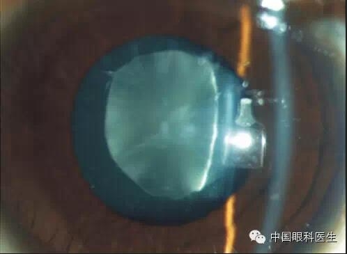 ͼ����������ʶ16�ֳ���������