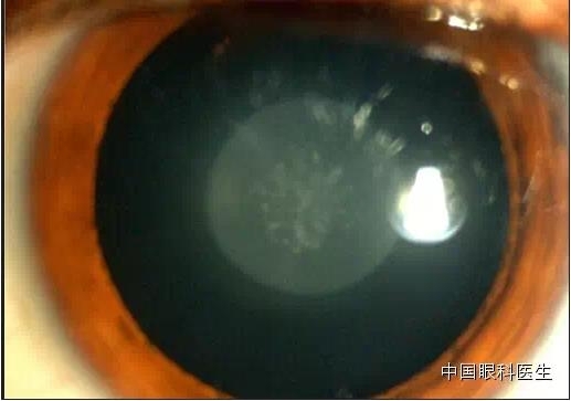 ͼ����������ʶ16�ֳ���������