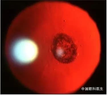 ͼ����������ʶ16�ֳ���������