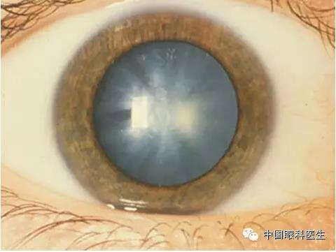 ͼ����������ʶ16�ֳ���������