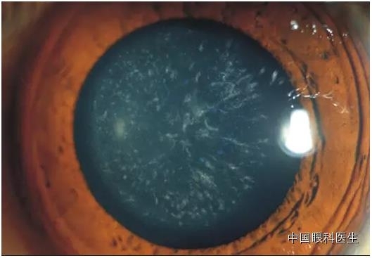 ͼ����������ʶ16�ֳ���������