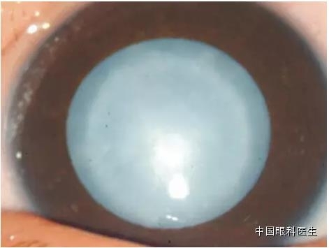 ͼ����������ʶ16�ֳ���������