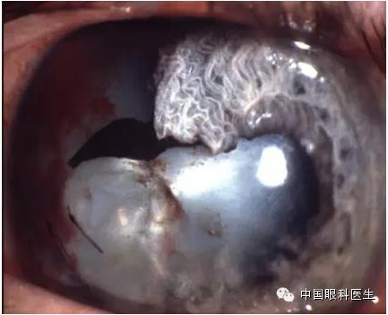 ͼ����������ʶ16�ֳ���������