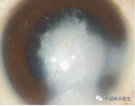 ͼ����������ʶ16�ֳ���������