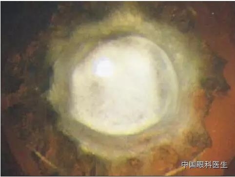 ͼ����������ʶ16�ֳ���������