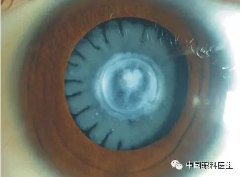 ͼ����������ʶ16�ֳ���������