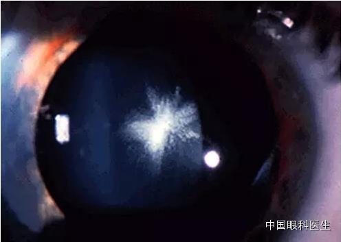 ͼ����������ʶ16�ֳ���������