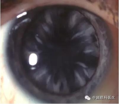 ͼ����������ʶ16�ֳ���������