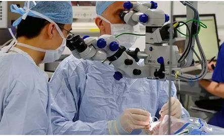 ǰ�� | ��Ӣ����ҽѧ�������Ʒ���ʧ����ʿ�ؼ�����