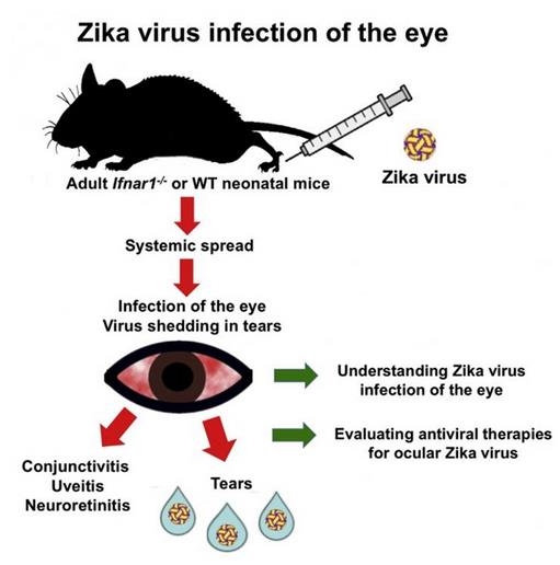 �����о���Ա�������������ɴ�����۲�������ͨ�����ᴫ��