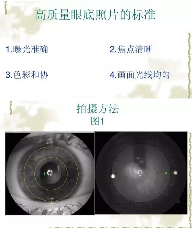 �����������������۵���Ƭ