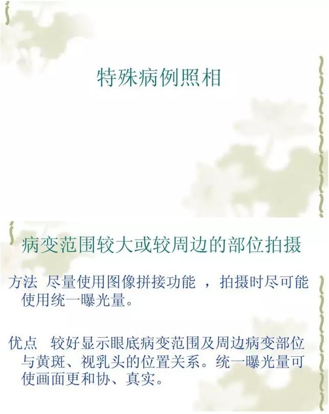 �����������������۵���Ƭ