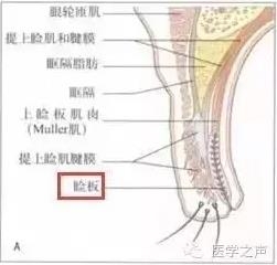 �����ȷ��ϡ��������� VS ������