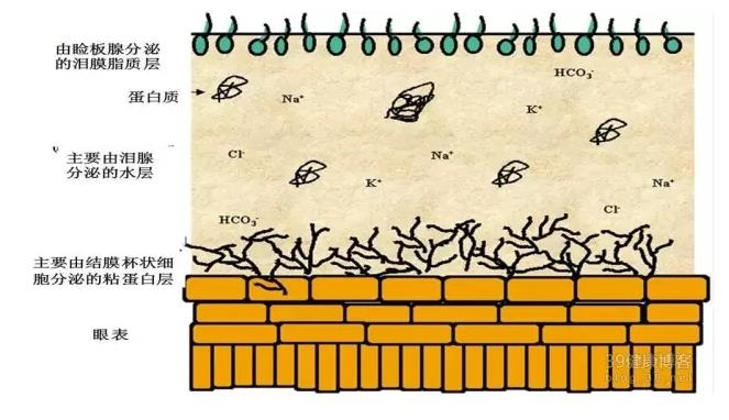 �۱���Ӧ���Խ�������