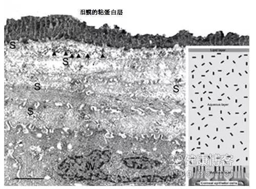 �۱���Ӧ���Խ�������