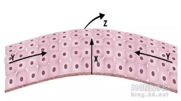 �۱���Ӧ���Խ�������